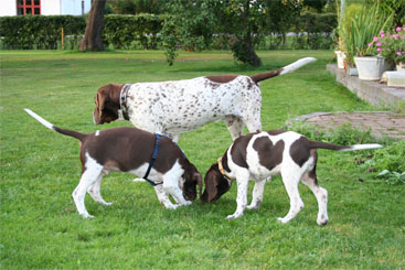 Buster, Walther og Albert