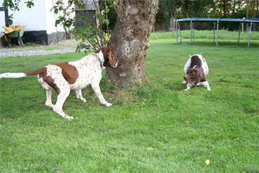 Buster og Laura leger