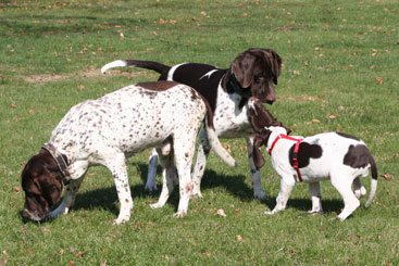 Buster, Albert og Thea