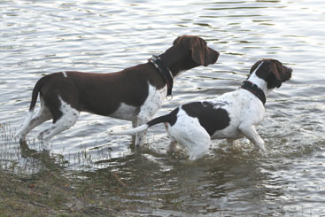 Walther og Thea i vandet