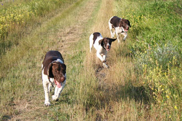 Walther, Thea og Charlie  