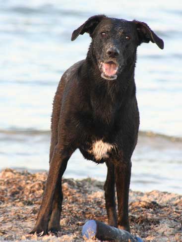 Keisha på stranden