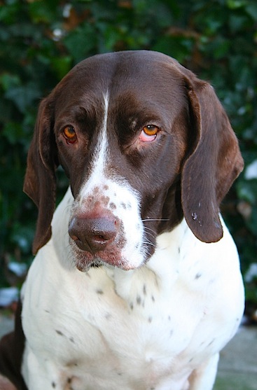 Thea 5 år