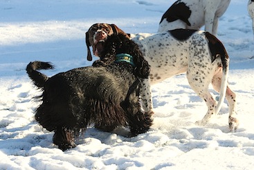 Sonja og Wilma leger i sneen