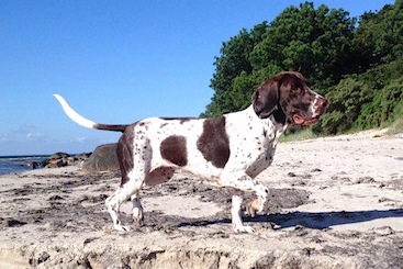 Sonja på stranden